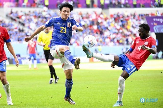 他们的防线 他们的防线