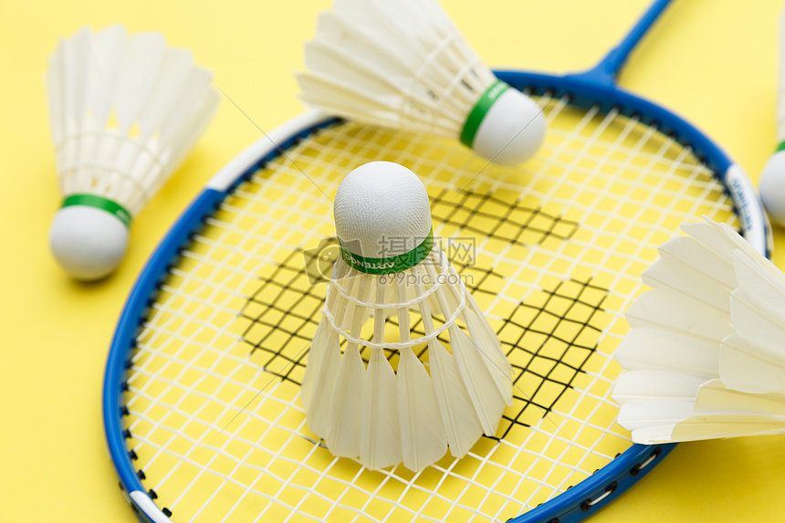 上一次他们 上一次他们