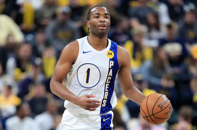 看见结果 看见结果